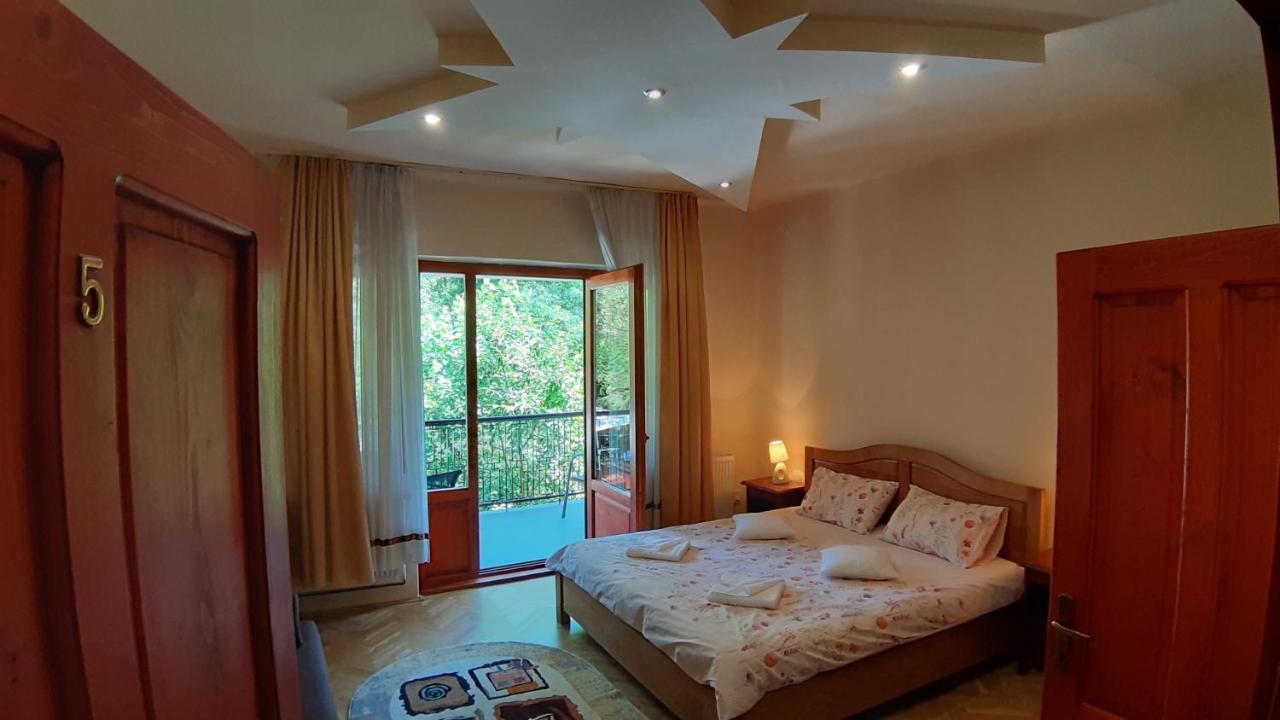 Casa Camelia Maison d'hôtes Sovata