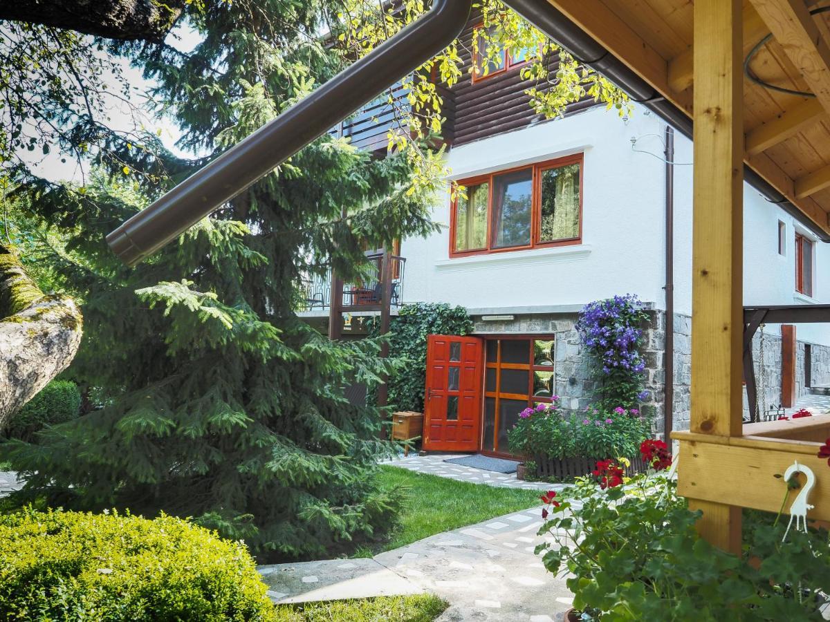 Casa Camelia Maison d'hôtes