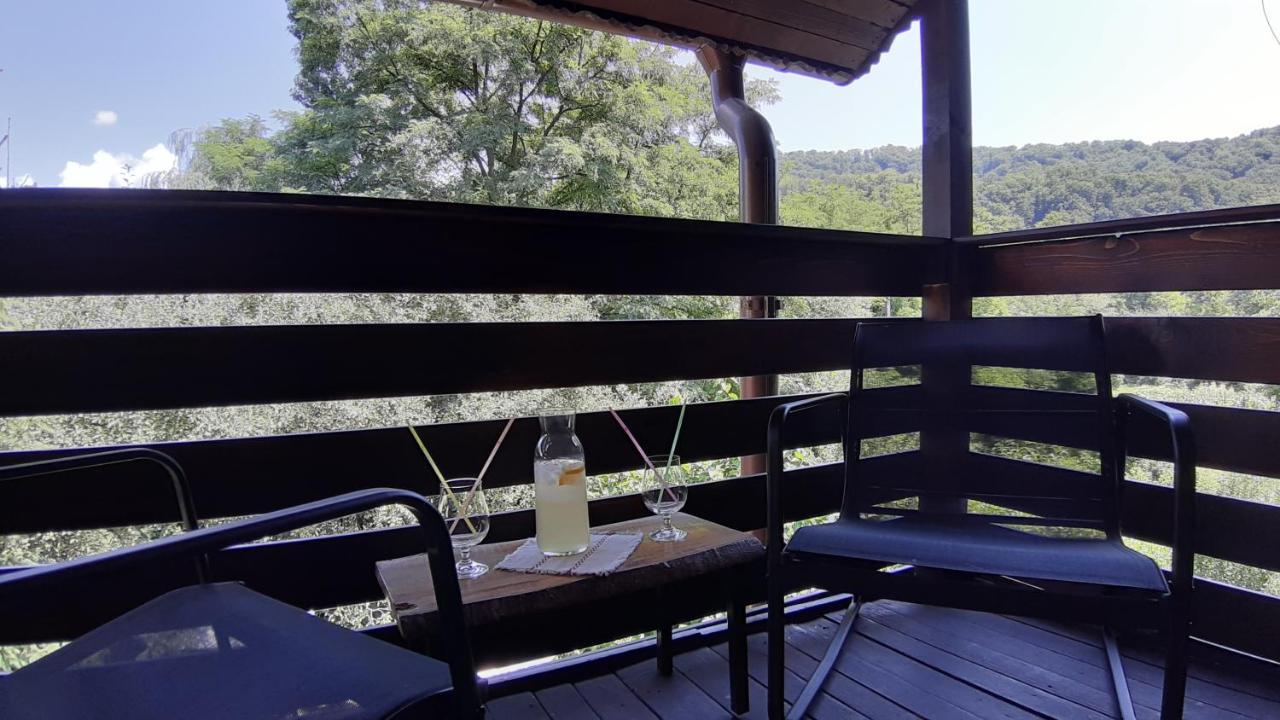 Casa Camelia Maison d'hôtes