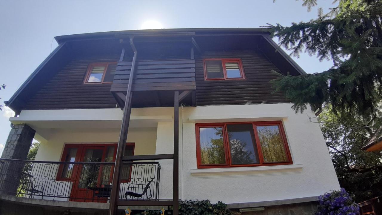 Casa Camelia Maison d'hôtes Sovata